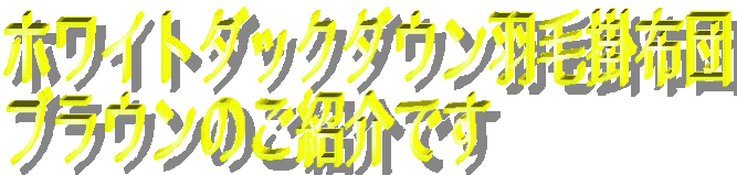 �z���C�g�_�b�O�_�E��85���g�p�H�ъ|�z�c2�_�Z�b�g�@�u���E���̃^�C�g��